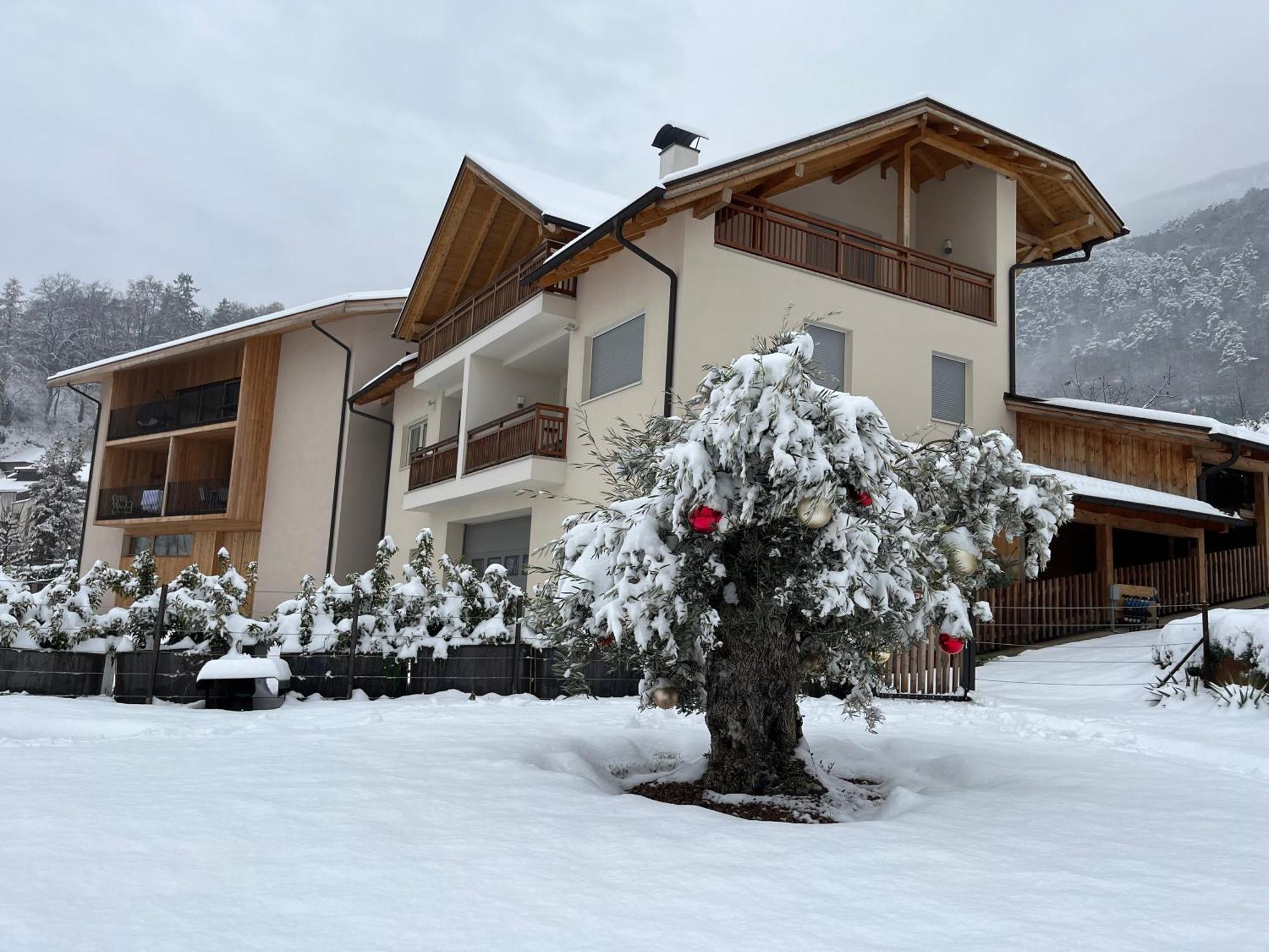 Apartament Egarter Appiano Sulla Strada Del Vino Zewnętrze zdjęcie